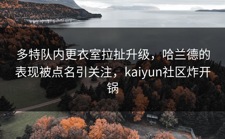 多特队内更衣室拉扯升级，哈兰德的表现被点名引关注，kaiyun社区炸开锅