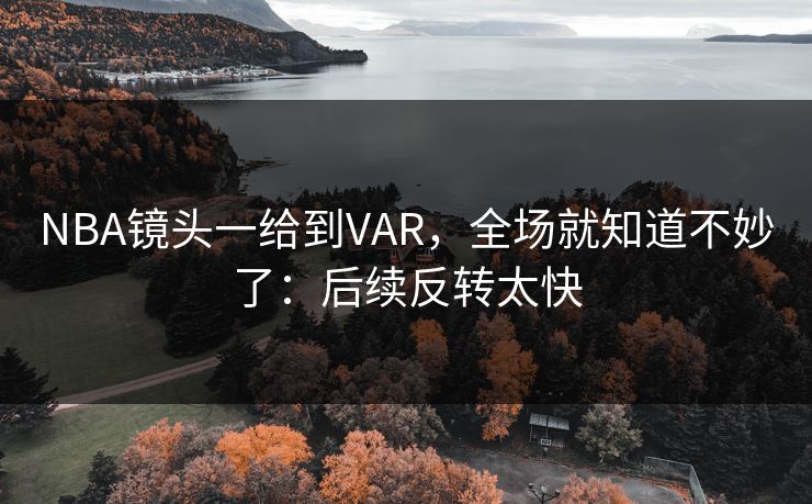 NBA镜头一给到VAR，全场就知道不妙了：后续反转太快